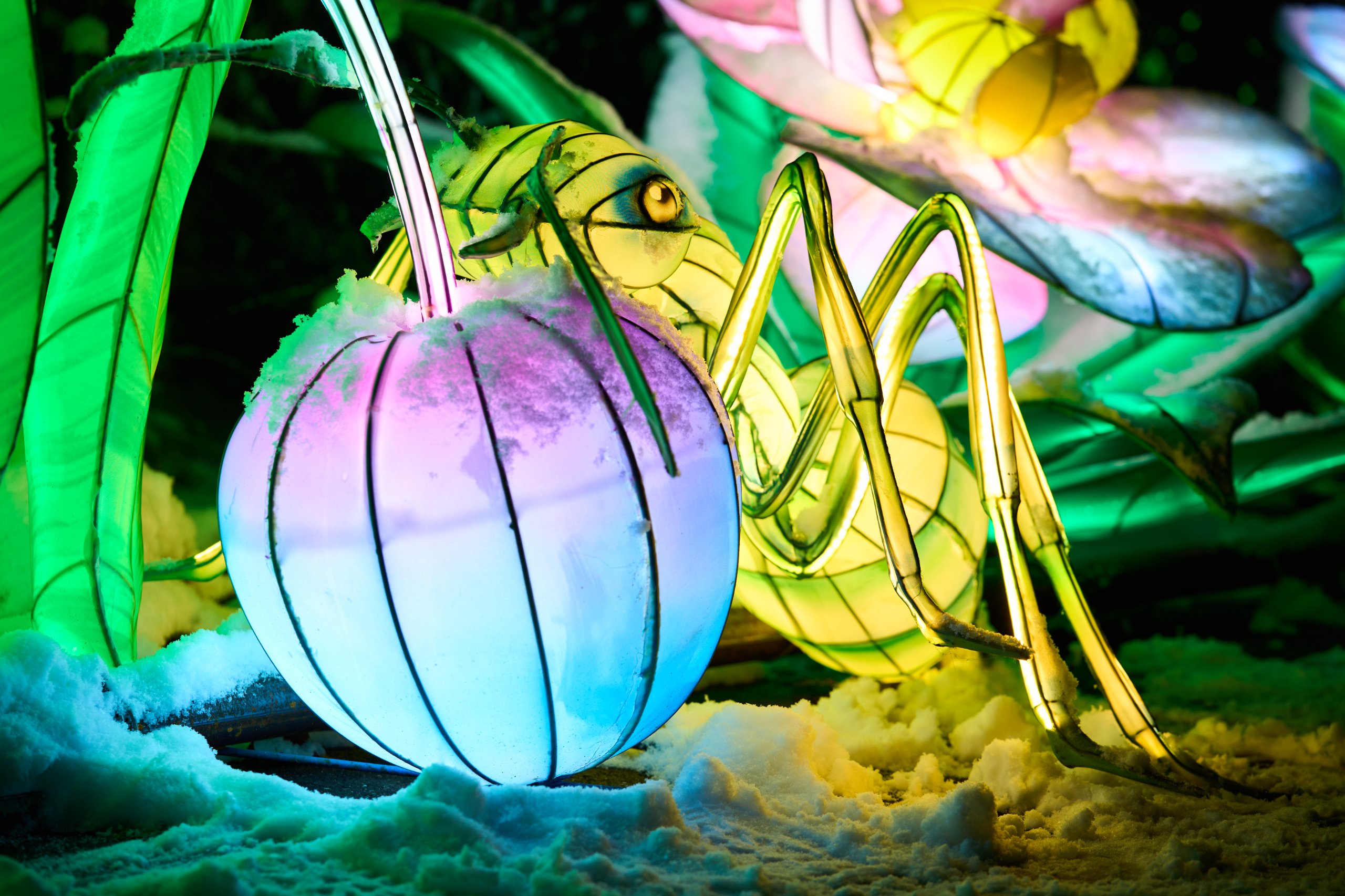 2026 01 05 China Lights 0110